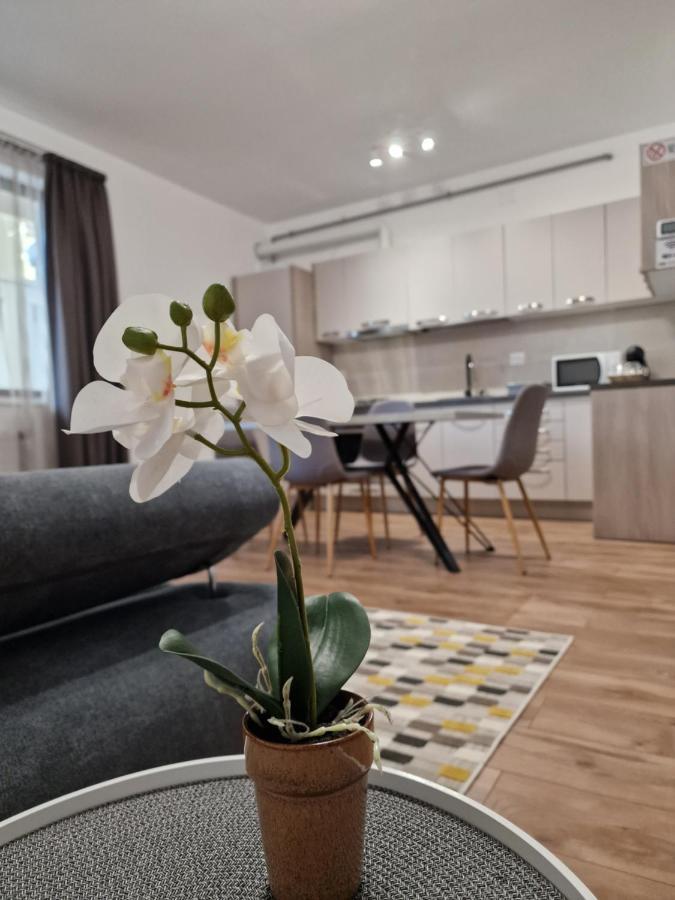 Vic Apartament Drobeta Turnu Severin Extérieur photo