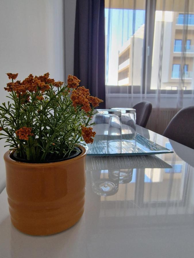 Vic Apartament Drobeta Turnu Severin Extérieur photo